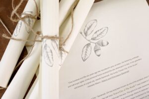 Wormsloe Plantation Greeting Cards - Set of 10